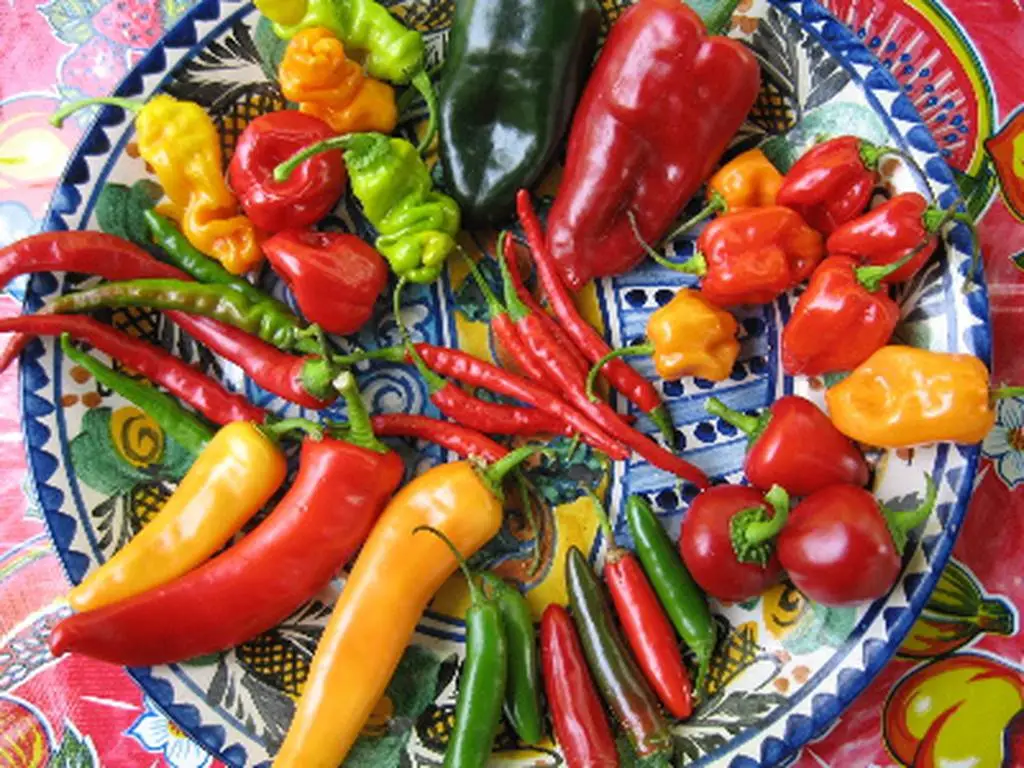 chiles