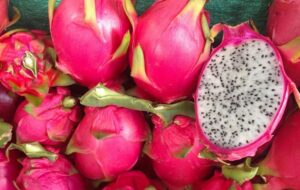 fruta del dragón