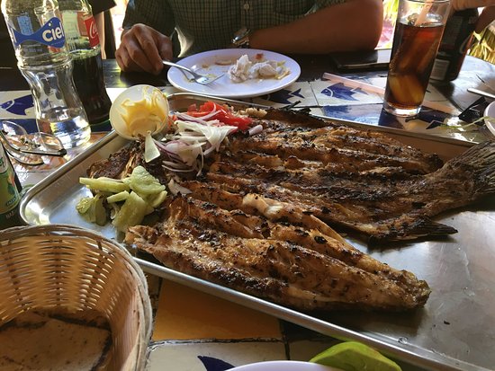 comida en tepic