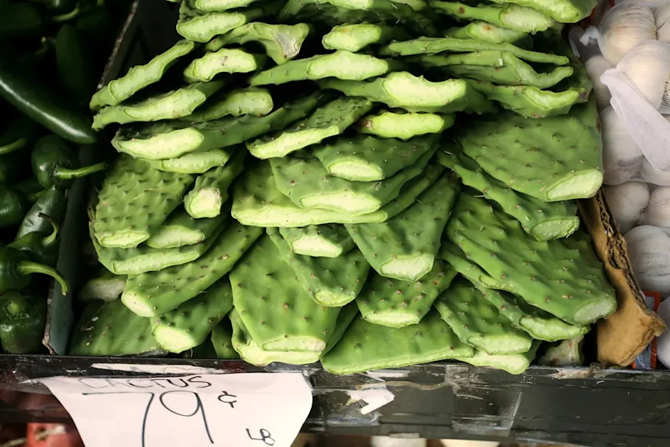 nopales frescos